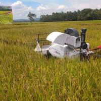 kementan-kembangkan-pertanian-modern-berbasis-korporasi
