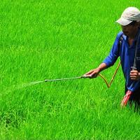 kementan-tindak-tegas-pelanggaran-pupuk-dan-pestisida