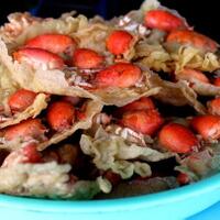 10-kuliner-mudik-jalur-selatan-terutama-daerah-kebumen