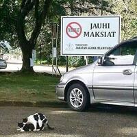 duh-keluarga-tajir-marah-seorang-gadis-pembantu-dijemur-dan-ikat-di-pohon