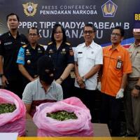 bea-cukai-dan-ditres-narkoba-polda-sumut-gagalkan-penyelundupan-16-kg-daun-khat