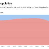 mayoritas-kulit-putih-di-amerika-akan-segera-menghilang-selamanya