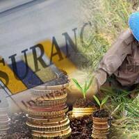 realisasi-autp-dan-auts-k-terus-mengalami-peningkatan