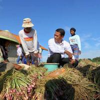cara-pertanian-ikut-berperan-turunkan-kemiskinan-nasional