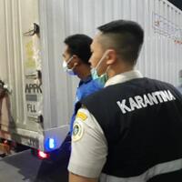 jelang-lebaran-bkp-cegah-daging-celeng-masuk-ke-pulau-jawa