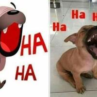 mustofa-nahra-diciduk-polisi-terkait-hoax-22-mei