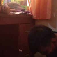 parah-wartawan-coba-rudapaksa-ibu-kandung-di-bengkulu