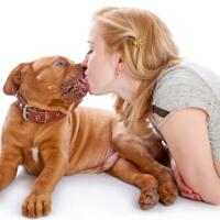 mustofa-nahrawardaya-akuntofa-dijemput-polisi-di-rumahnya