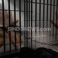 polisi-ciduk-penyebar-video-running-text-spbu-yang-tampilkan-ujaran-kebencian