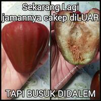 jadi-orang-baik-itu-susah-paling-gampang-jadi-orang-munafik