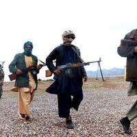 pejabat-senior-taliban-para-pemberontak-tetap-ingin-perdamaian