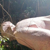 patung-bapak-pendiri-china-roboh-tertiup-angin-pejabat-partai-komunis-dihukum