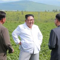 pertemuan-dengan-trump-gagal-kim-jong-un-bunuh-pejabat-seniornya