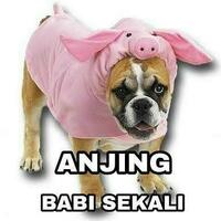 wni-tionghoa-quotaku-yang-memulai-aku-yang-mengakhiriquot