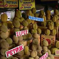 pengakuan-pedagang-durian-ketika-jualannya-laris-manis-malah-takut-keluar-rumah