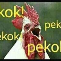 berdukacita-prabowo-salah-tulis-nama-ani-yudhoyono-niat-ga-sih