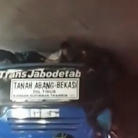viral-gerombolan-bocah-terjepit-karena-naik-di-atas-bus-transjabodetabek