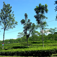 komunitas-photografi-warga-regional-banyuwangi