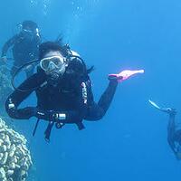 hati-hati-perbuatan-asusila-ketika-sedang-diving