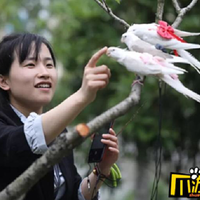 jual-pembalut-burung-perempuan-cina-raih-rp-618-juta-per-bulan