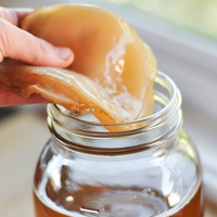 misteri-kombucha-sebagai-ramuan-hidup