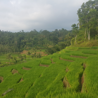 5-hal-yang-mengundang-rindu-pada-kampung-halaman-agan-termasuk-yang-mana