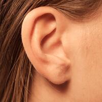 bisa-dicoba-ini-4-tips-mengeluarkan-serangga-di-telinga