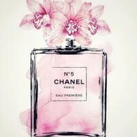 that-guy-me-and-pink-perfume