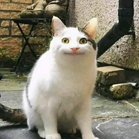 anies-beber-alasan-tak-cabut-pergub-ahok-dasar-imb-reklamasi