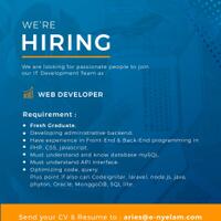 lowongan-kerja-web-developer-e-nyelam