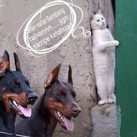 lagi--lagi-bambang-di-tegur-hakim-mk