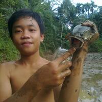 hoaks-dr-michael-abdul-menyayangkan-sikap-kpu-yang-memenangkan-paslon-01