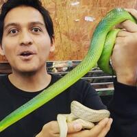 gagal-kembali-ke-senayan-lucky-hakim-banting-setir-jadi-youtuber