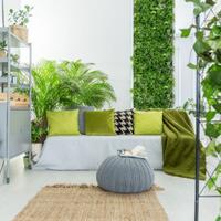 cara-menciptakan-nuansa-taman-rumah-pada-ruang-yang-sempit-di-rumah-anda