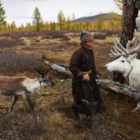 5-pekerjaan-unik-yang-bergaji-besar-salah-satunya-pengumpul-urin-rusa