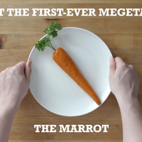 kenalin-gan-ini-marrot-sayuran-dari-daging-pertama-di-dunia