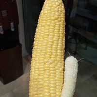 wow-sepotong-keju-biru-seharga-rumah