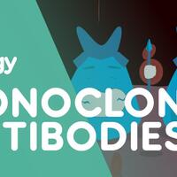 antibodi-monoklonal--senjata-modern-dalam-mengobati-kanker