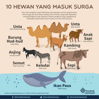 wanita-bawa-anjing-ngamuk-di-masjid-sentul-dapat-kabar-suaminya-mau-ijab-kobul