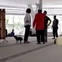 wanita-bawa-anjing-ngamuk-di-masjid-sentul-dapat-kabar-suaminya-mau-ijab-kobul