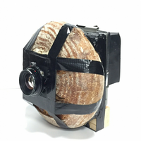 gokil-photographer-ini-membuat-kamera-dari-buah-roti-patung-hingga-bangunan