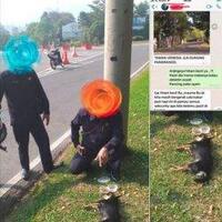anjing-milik-sm-yang-masuk-sebuah-masjid-di-sentul-dikabarkan-mati-ini-penyebabnya