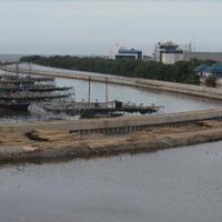 ngeri-jokowi-siapkan-tanggul-laut-raksasa-di-jakarta