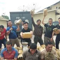 340-kg-ganja-disita-dari-tangan-3-warga-aceh-tenggara-diangkut-pakai-dump-truk