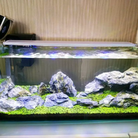 aquascape-for-everyone-learning-and-sharing---part-3