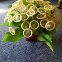 demi-puaskan-suami-dewi-perssik-rela-jadi--singa--di-atas-ranjang