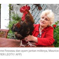 maurice-sayang-haruskan-masuk-pengadilan-ini-sungguh-lucu-gan-sis