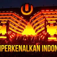 karya-orang-indonesia-udah-sampe-ultra-music-festival-tomorrowland-glastonbury