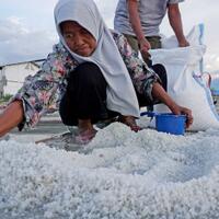 praktik-kartel-diduga-sebabkan-anjloknya-harga-garam-lokal