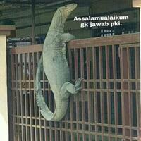 karena-dukung-jokowi-ali-mochtar-ngabalin-dituduh-kafir-dan-disuruh-syahadat-ulang